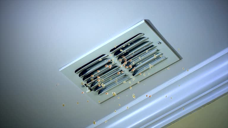 Best HVAC Duct Inspection Services  in Russell Springs, KY