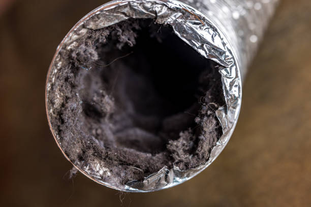 Best Dryer Vent Cleaning Services  in Russell Springs, KY