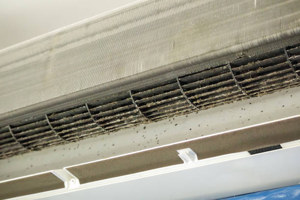 Best HVAC Maintenance and Cleaning  in Russell Springs, KY
